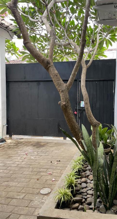 Chic And Cozy Studio Canggu Eksteriør billede